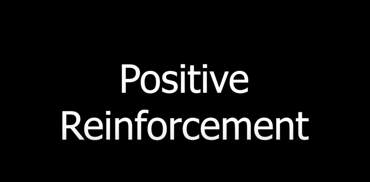 Positive Reinforcement